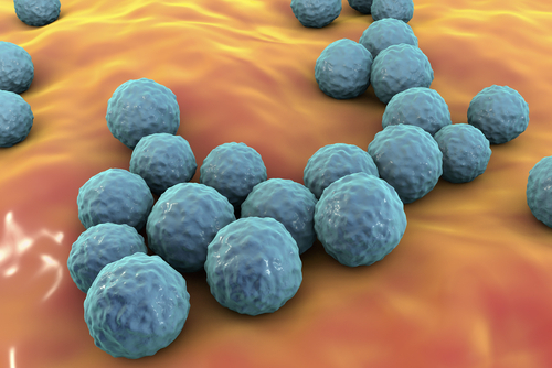 妙抗保抗菌技术能有效抑制肠球菌。