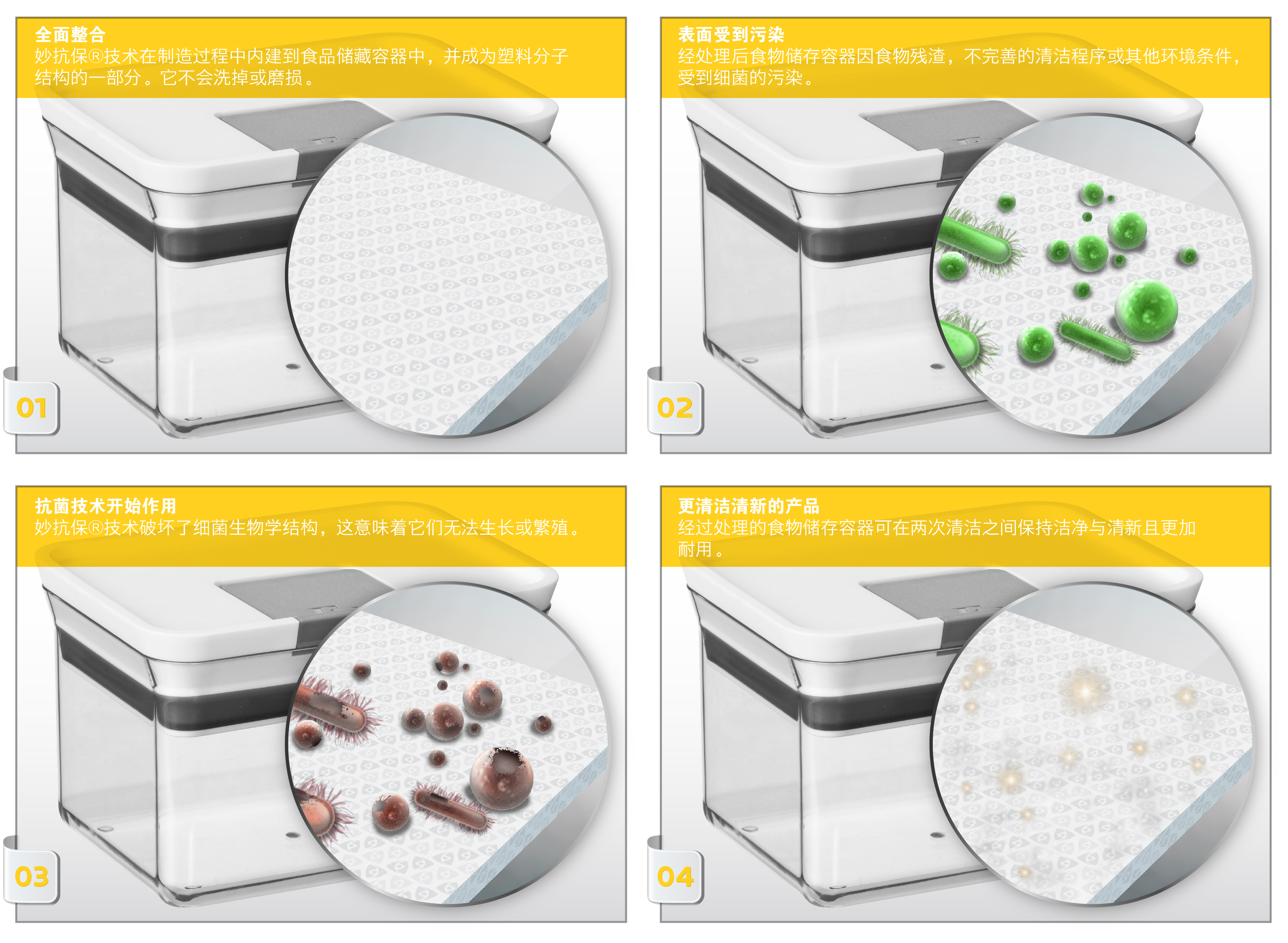 Microban Technology How It Works Felli S Ch 01