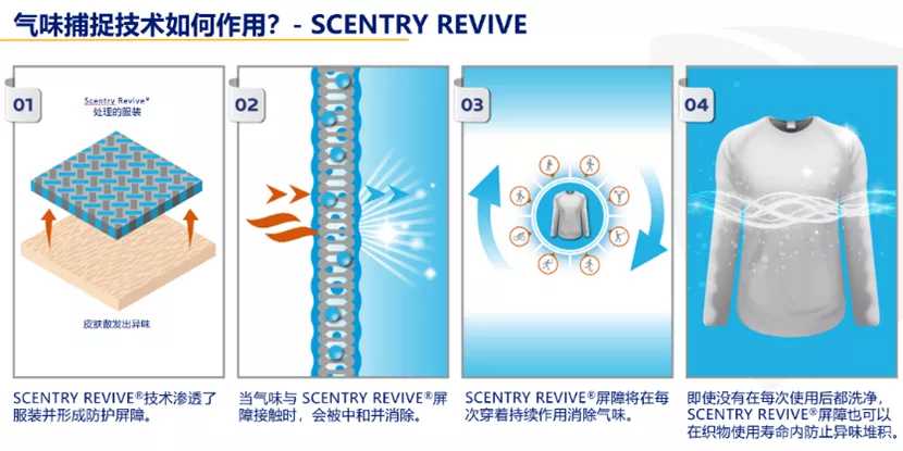 Tech Illustration Sentry Revive