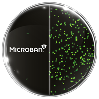 Mbns18 confocal bacteria microban treated