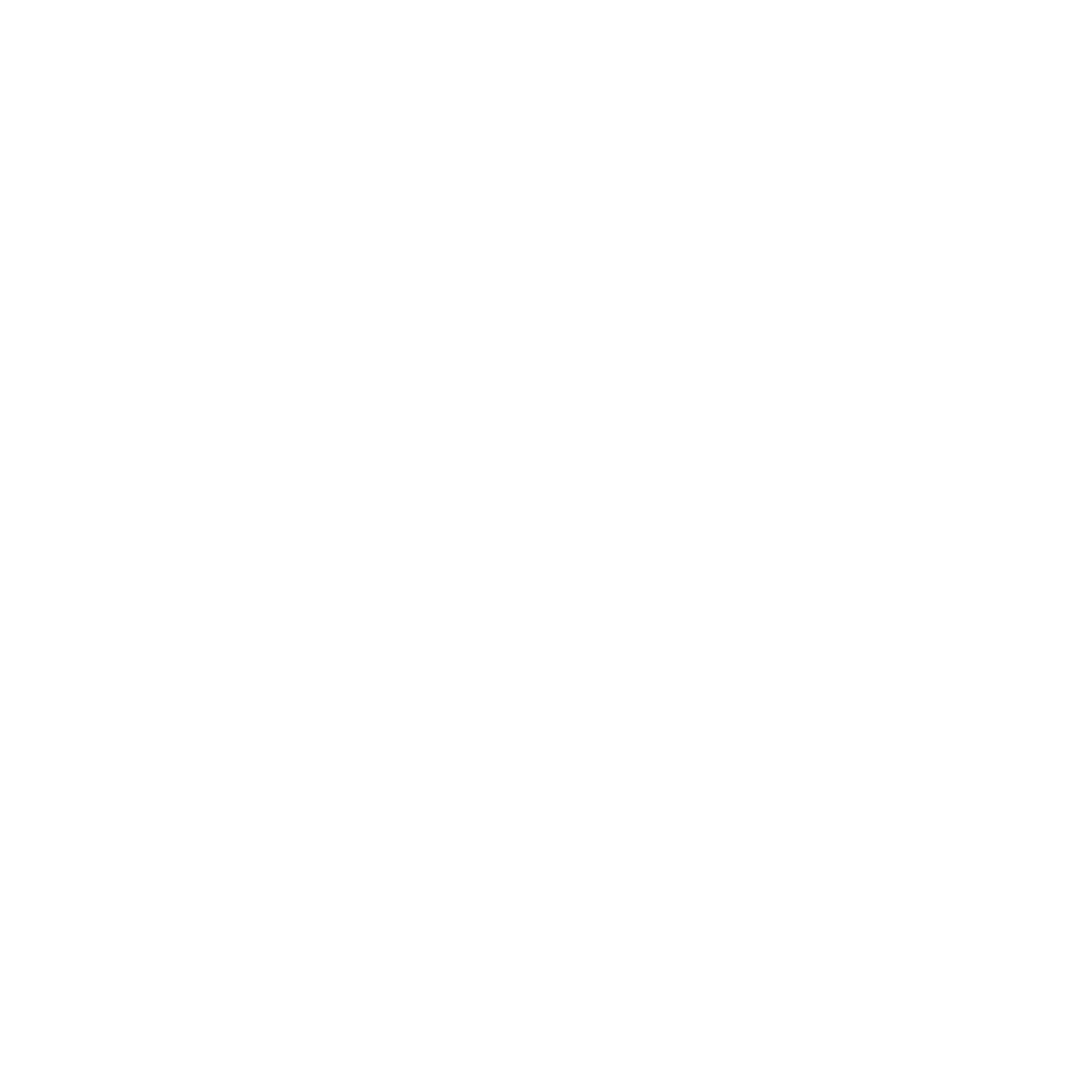 NIHT Logo White